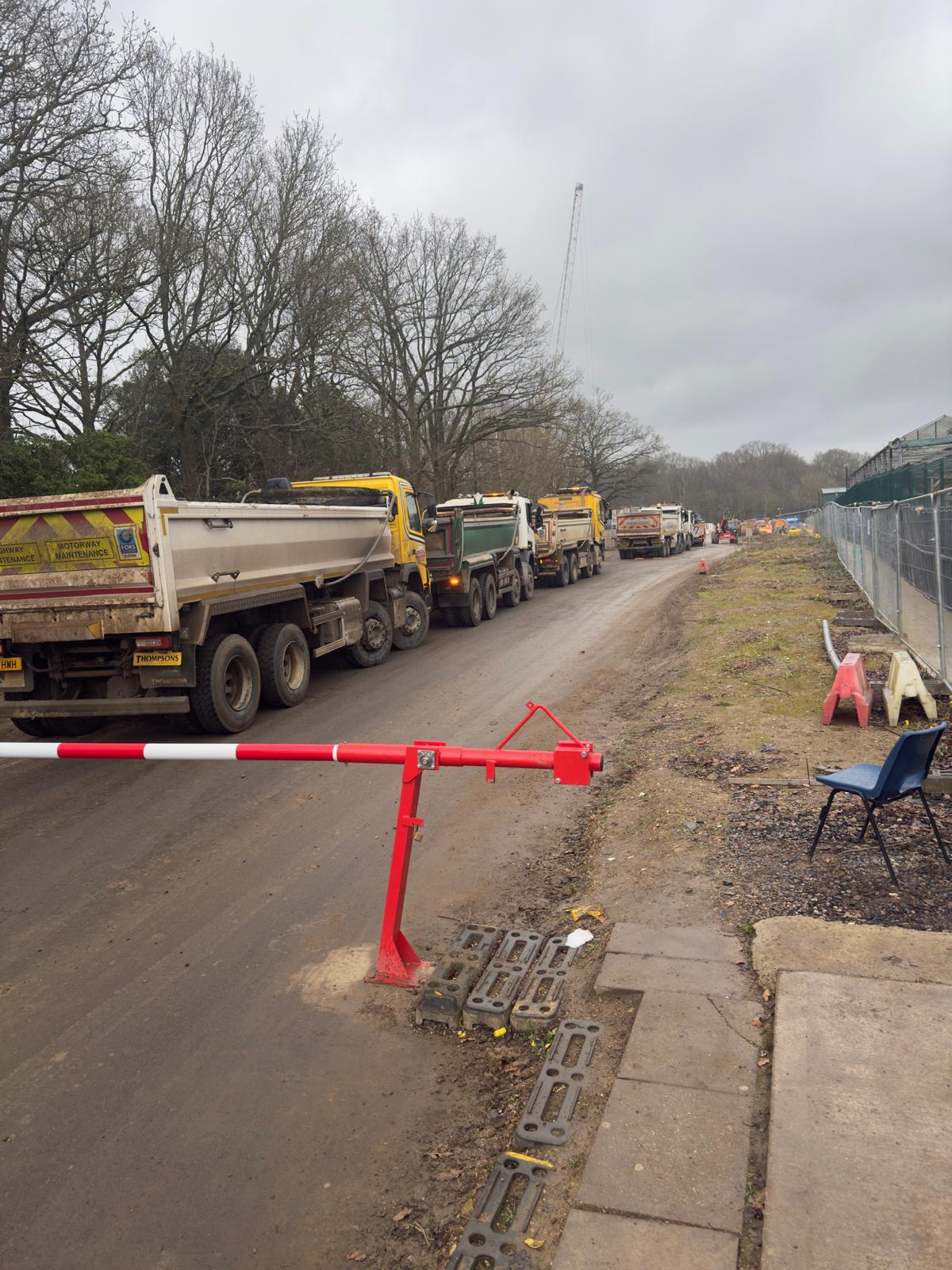 Professional landscaping installation with garden design